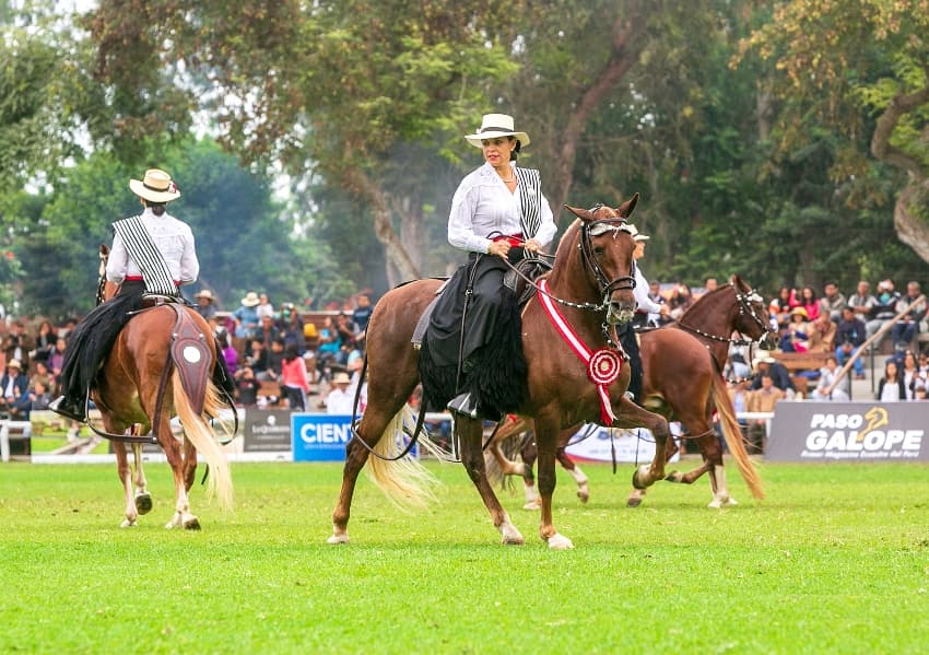 banner Campeonato Nacional de Caballo de Paso Dia 1